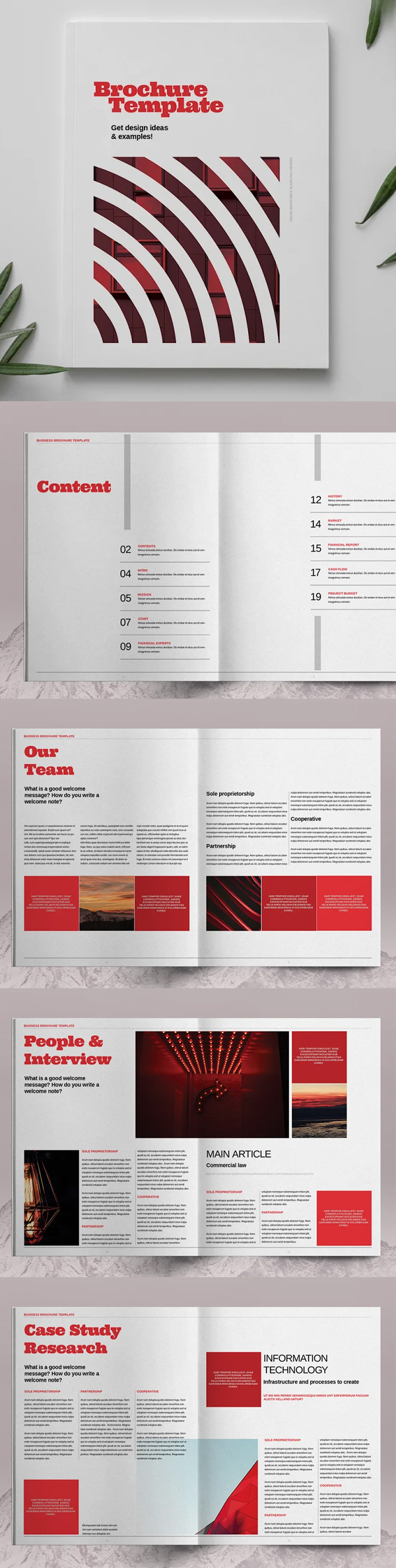 Red Business Brochure Template