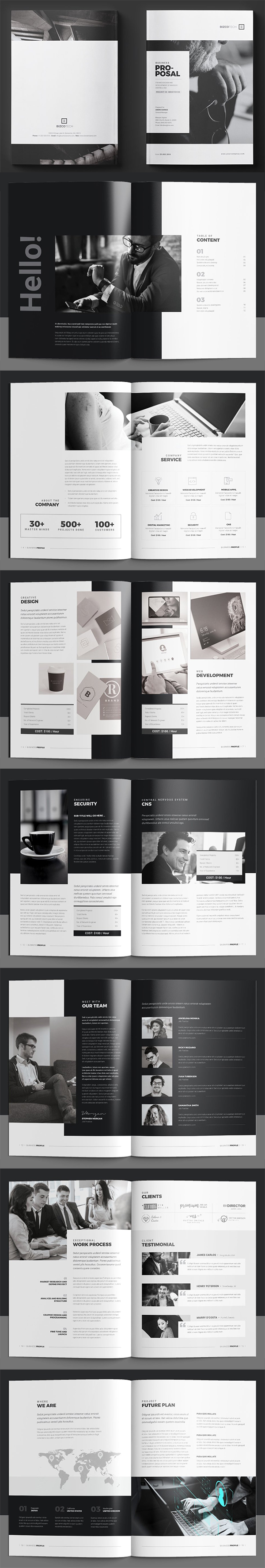 Perfect Company Profile Brochure