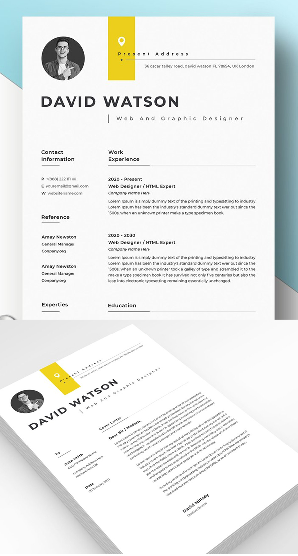 Professional Resume Template