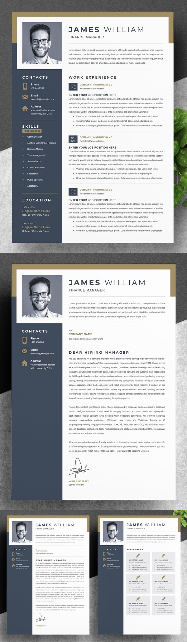 Professional Word Resume Template