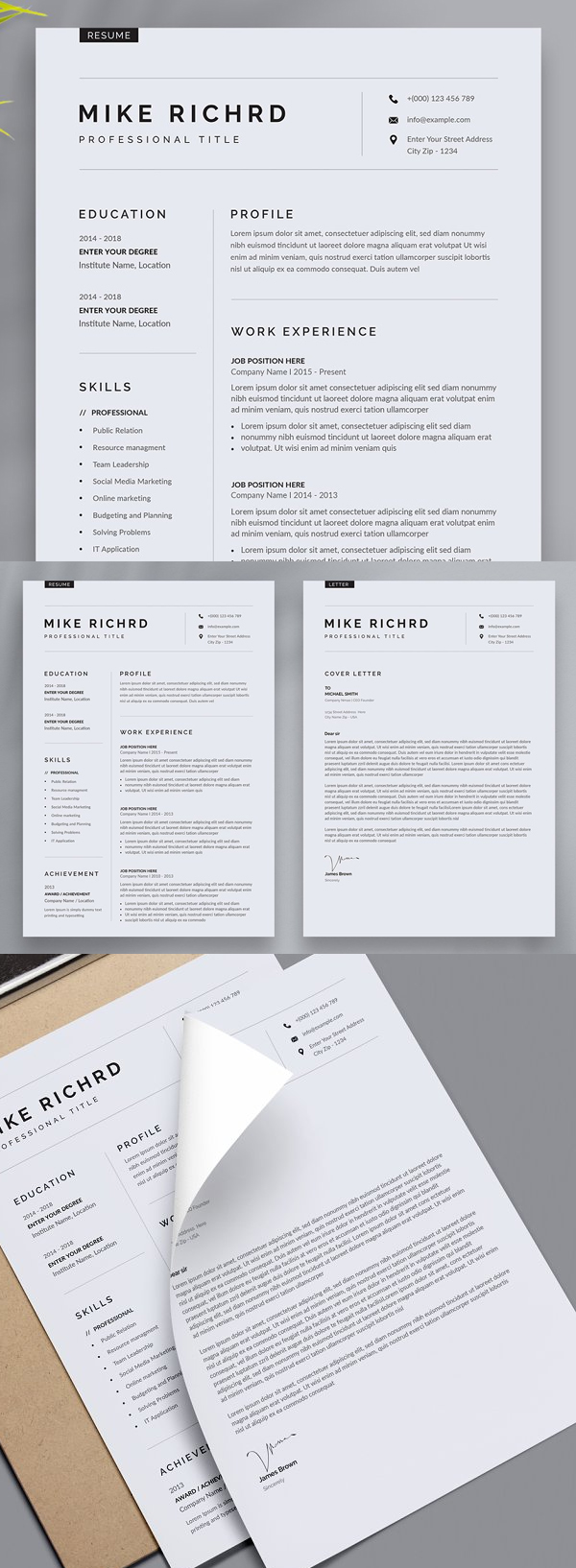 Clean Resume CV