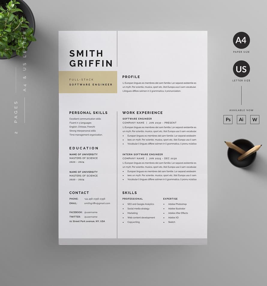 Elegant Resume Cv Template