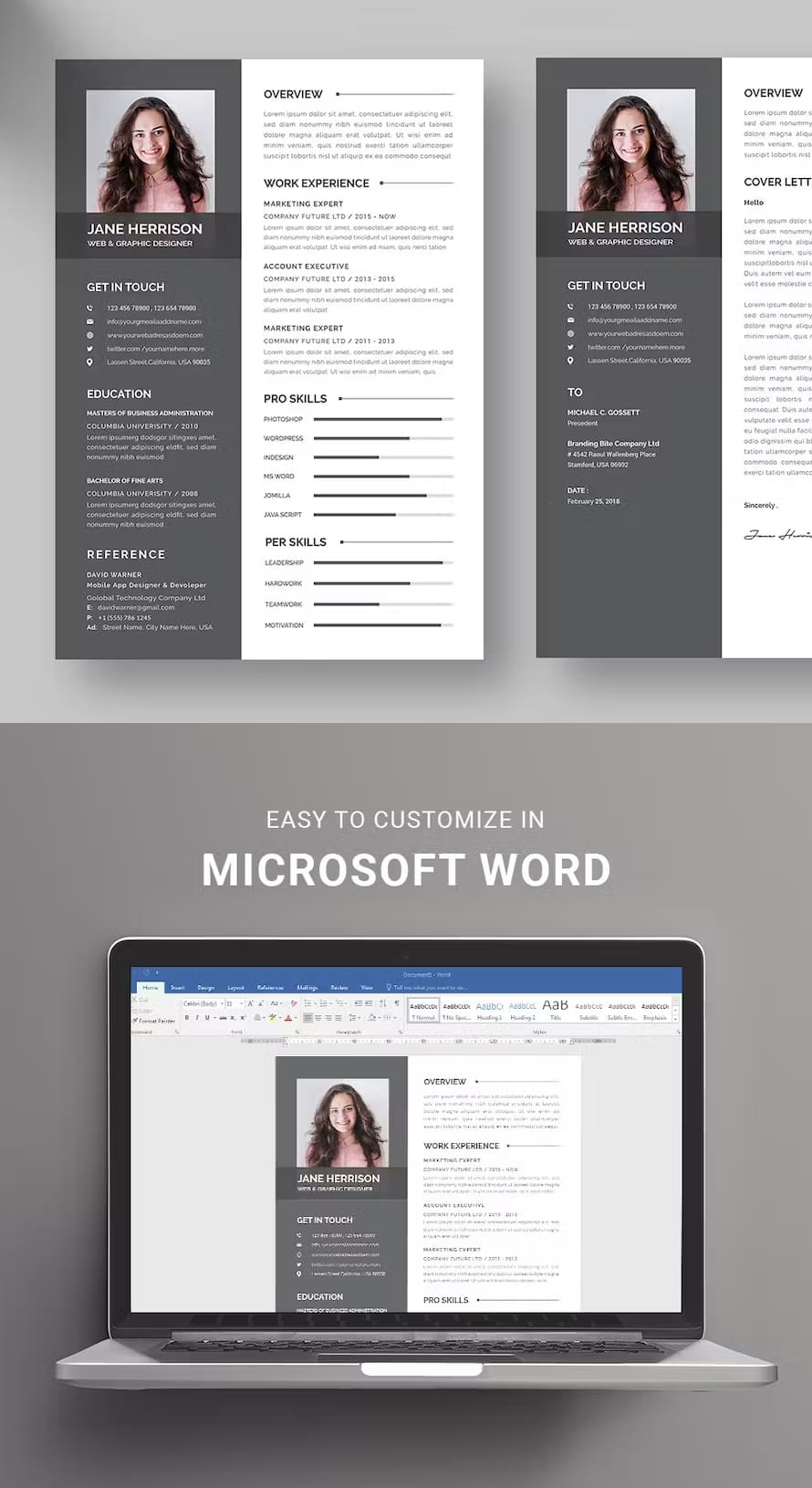 Modern Cv Resume Template