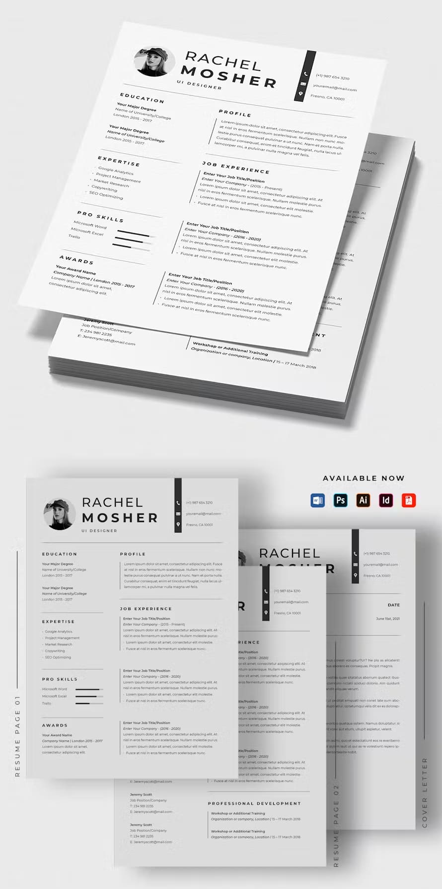 Professional Cv Resume Templates